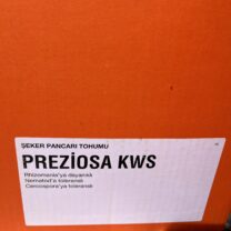 Kws  preziosa pancar tohumu